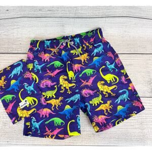 Boardies Boy's Purple Rainbow Dinosaur Printed Swim Trunks Size 11/12